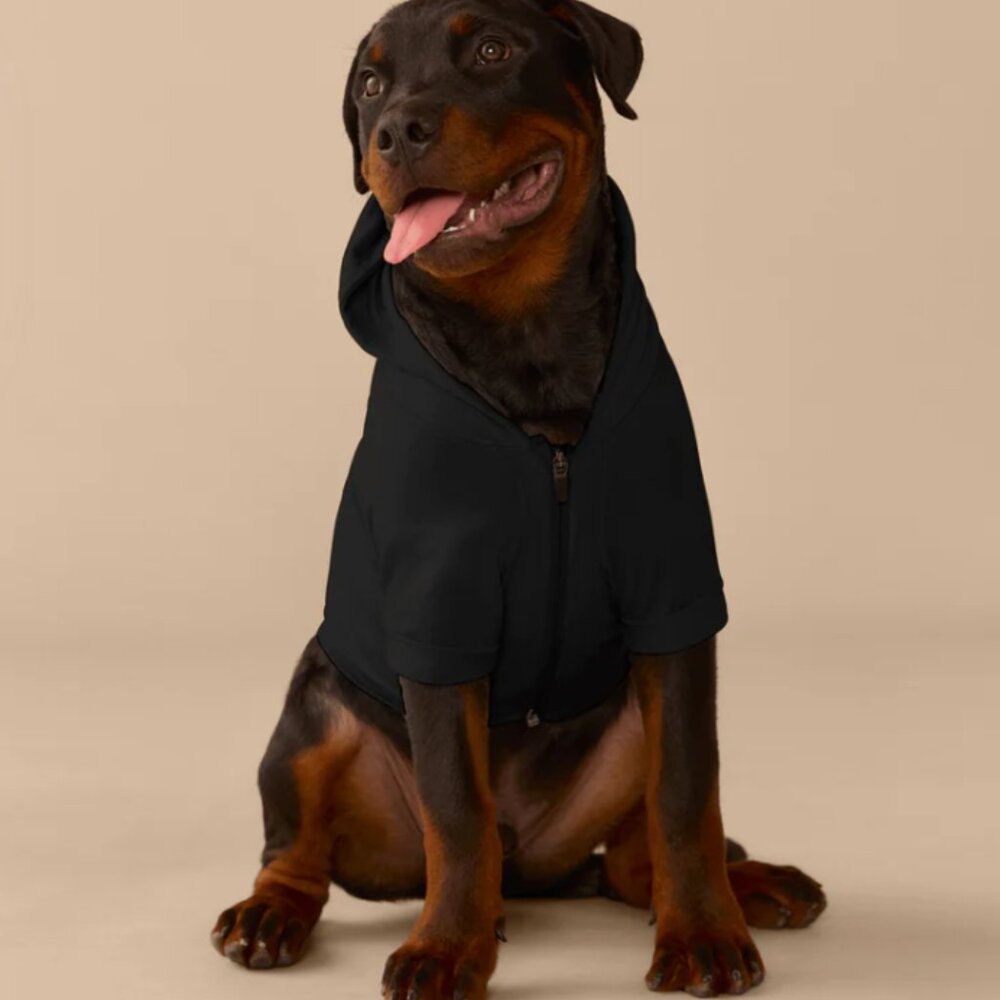 MeUndies Modal Dog Hoodie